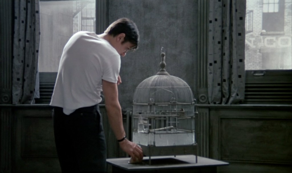 Der eiskalte Engel Delon