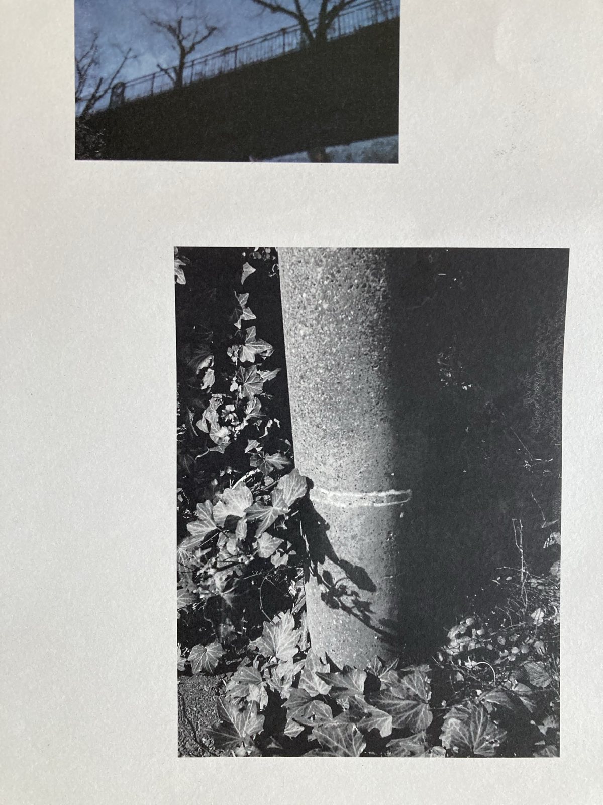 Viennale 2025: Dritter Tag